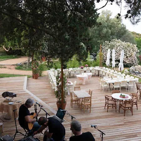 Gallina Varja * Sotta