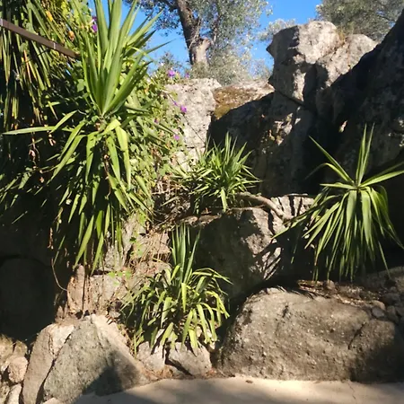 Campsite Gallina Varja