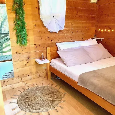 Gallina Varja * Sotta