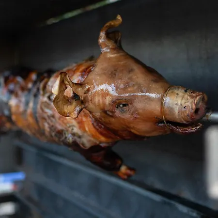 Gallina Varja Campingplads Sotta