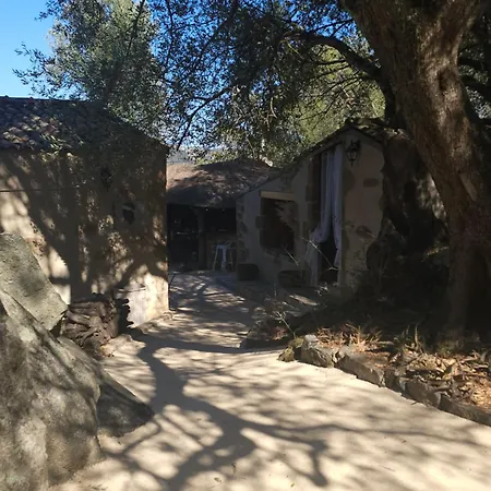 Campsite Gallina Varja