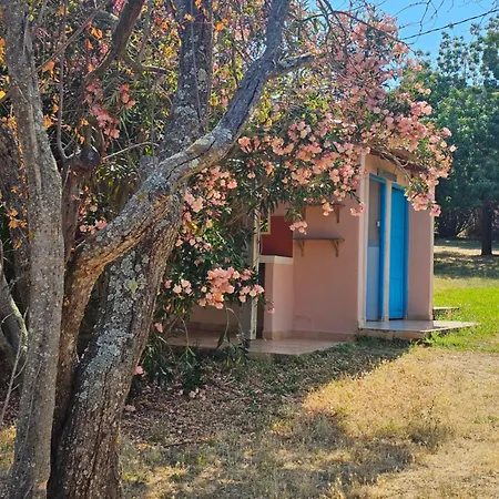 Campingplatz Gallina Varja *