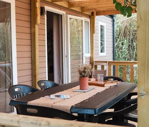 Gallina Varja סוטה