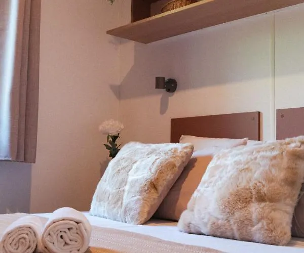 Gallina Varja סוטה