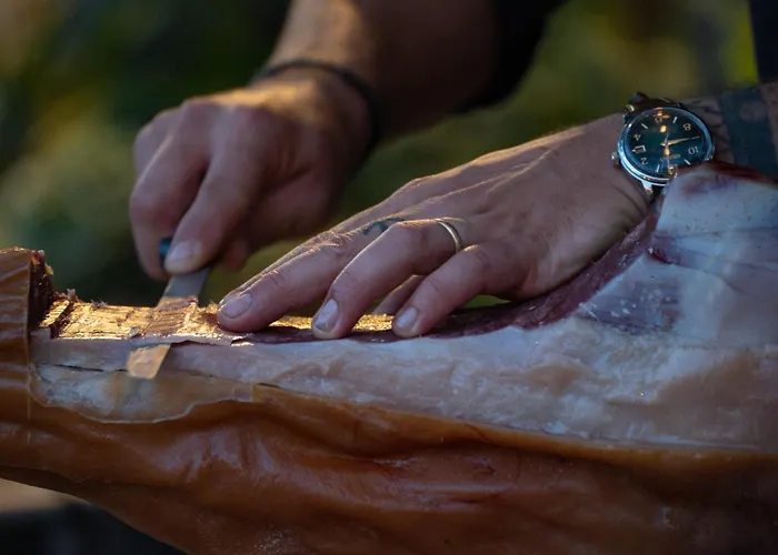 Gallina Varja Camping *