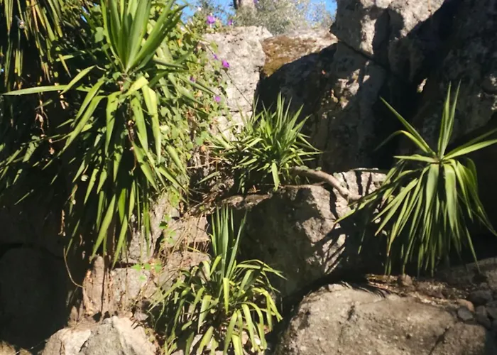 אתר קמפינג Gallina Varja