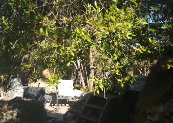 Gallina Varja Camping *