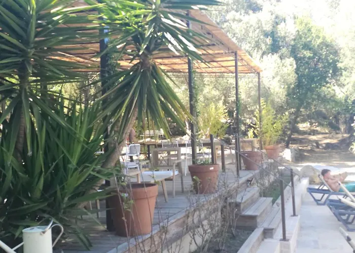 Gallina Varja * סוטה